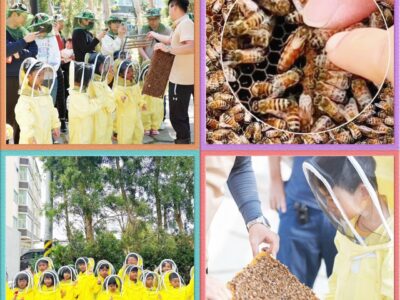 小小蜂農深度採蜜團（09.06 下午13:30-15:30）