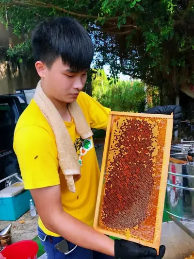 原漿蜂王乳(500g)：圖片 3
